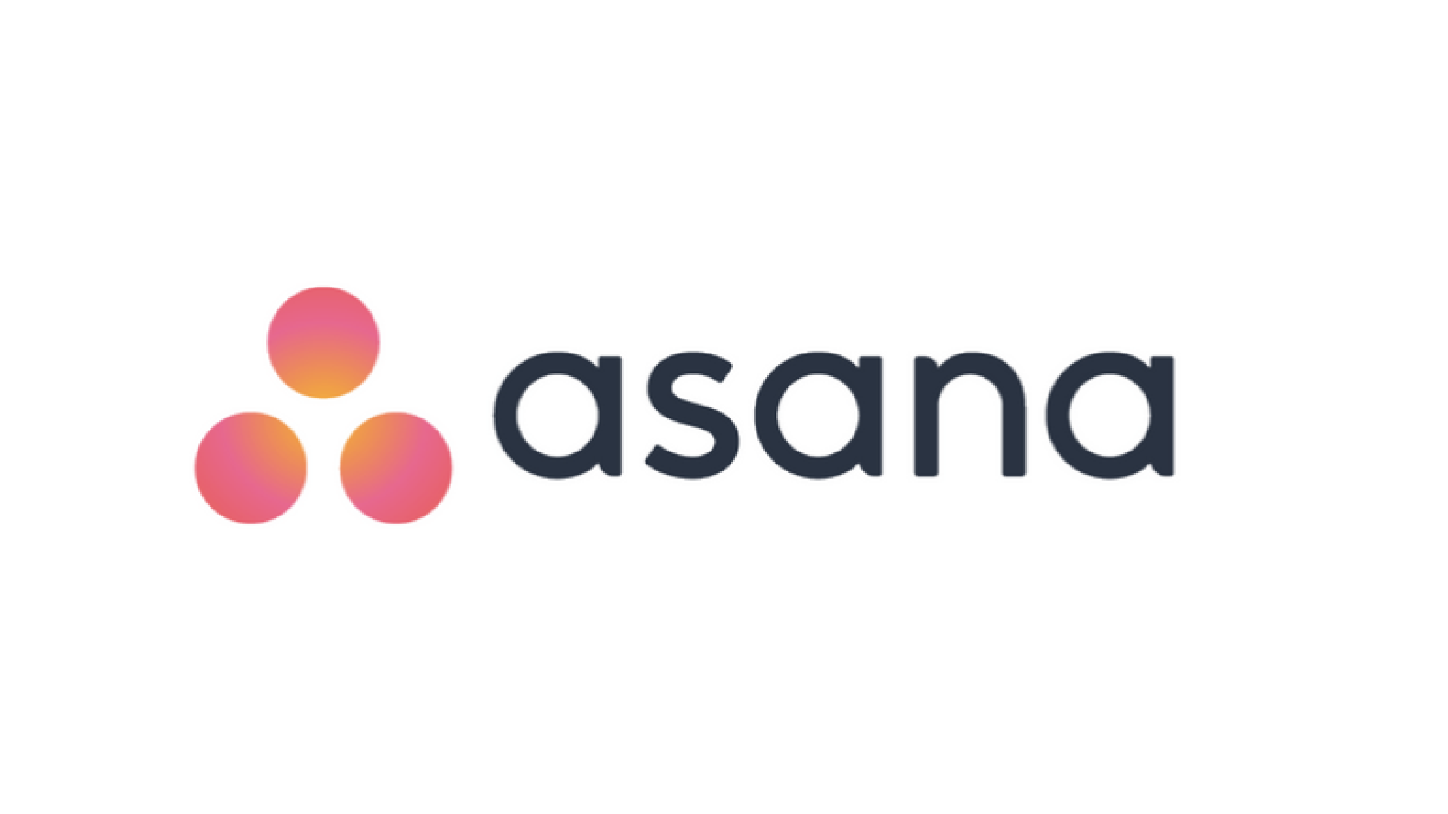 asana-digitale-tool